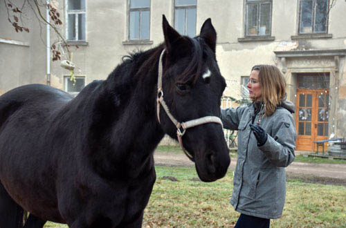 Sabine Schnabel - Klang für Pferde Impressionen 2
